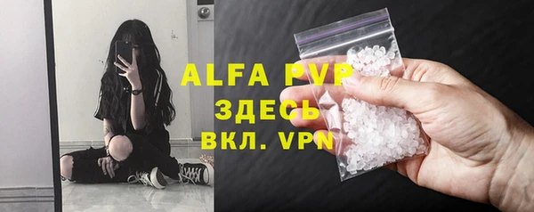 стафф Бронницы